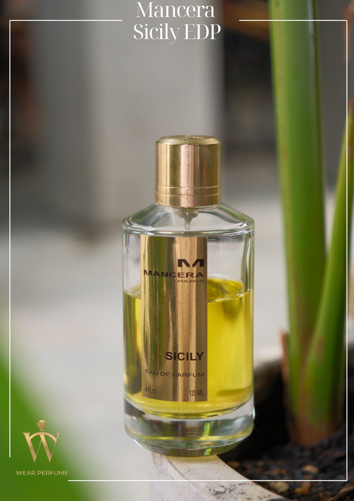 Mancera Sicily EDP 