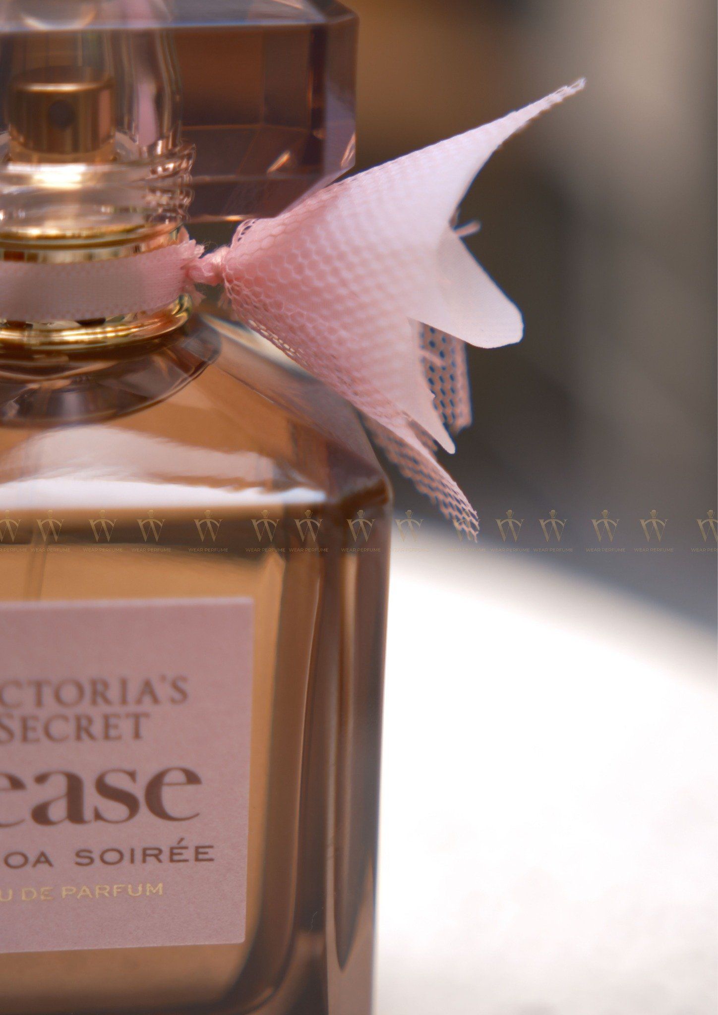  Victoria's Secret Tease Cocoa Soirée 