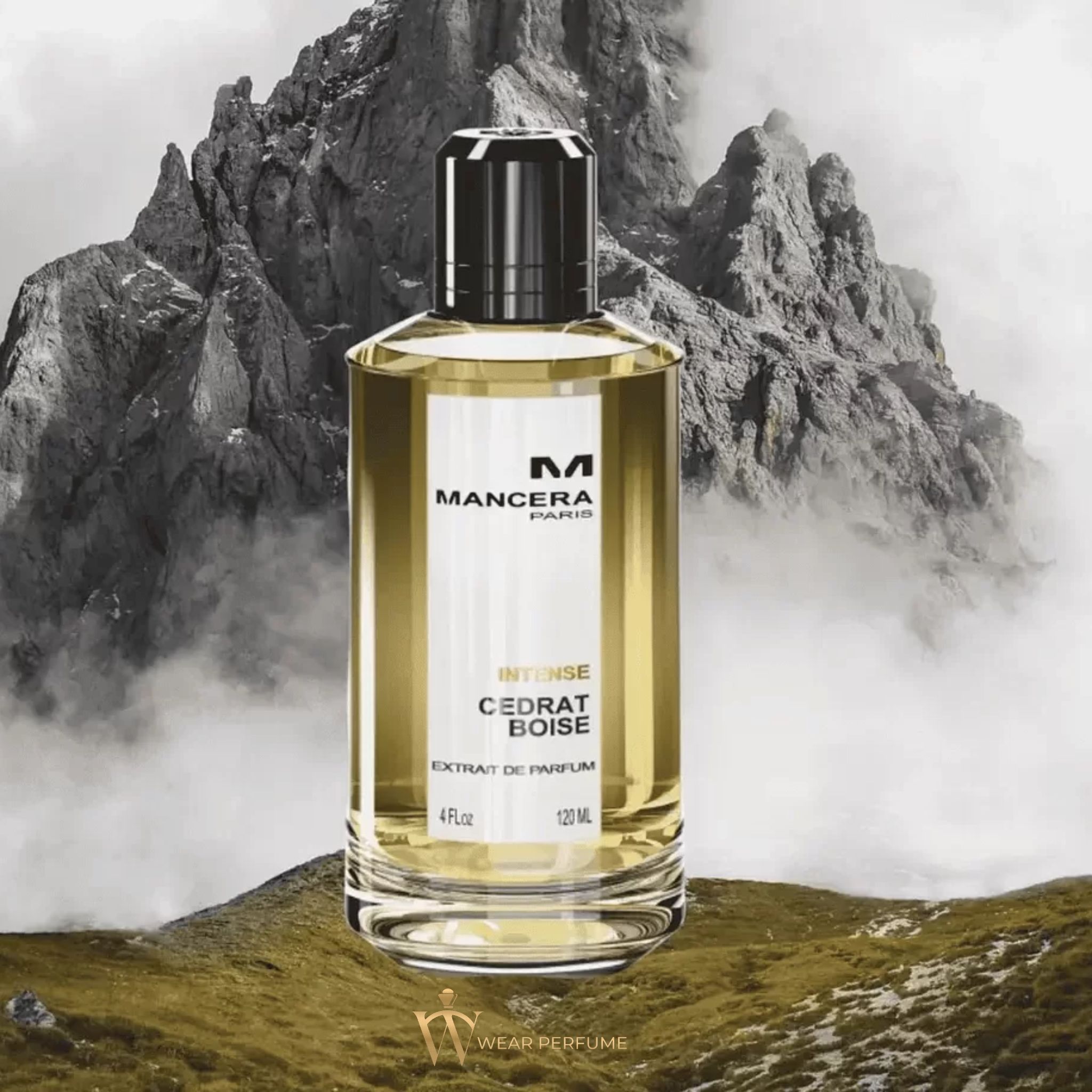  Mancera Cedrat Boise Intense 