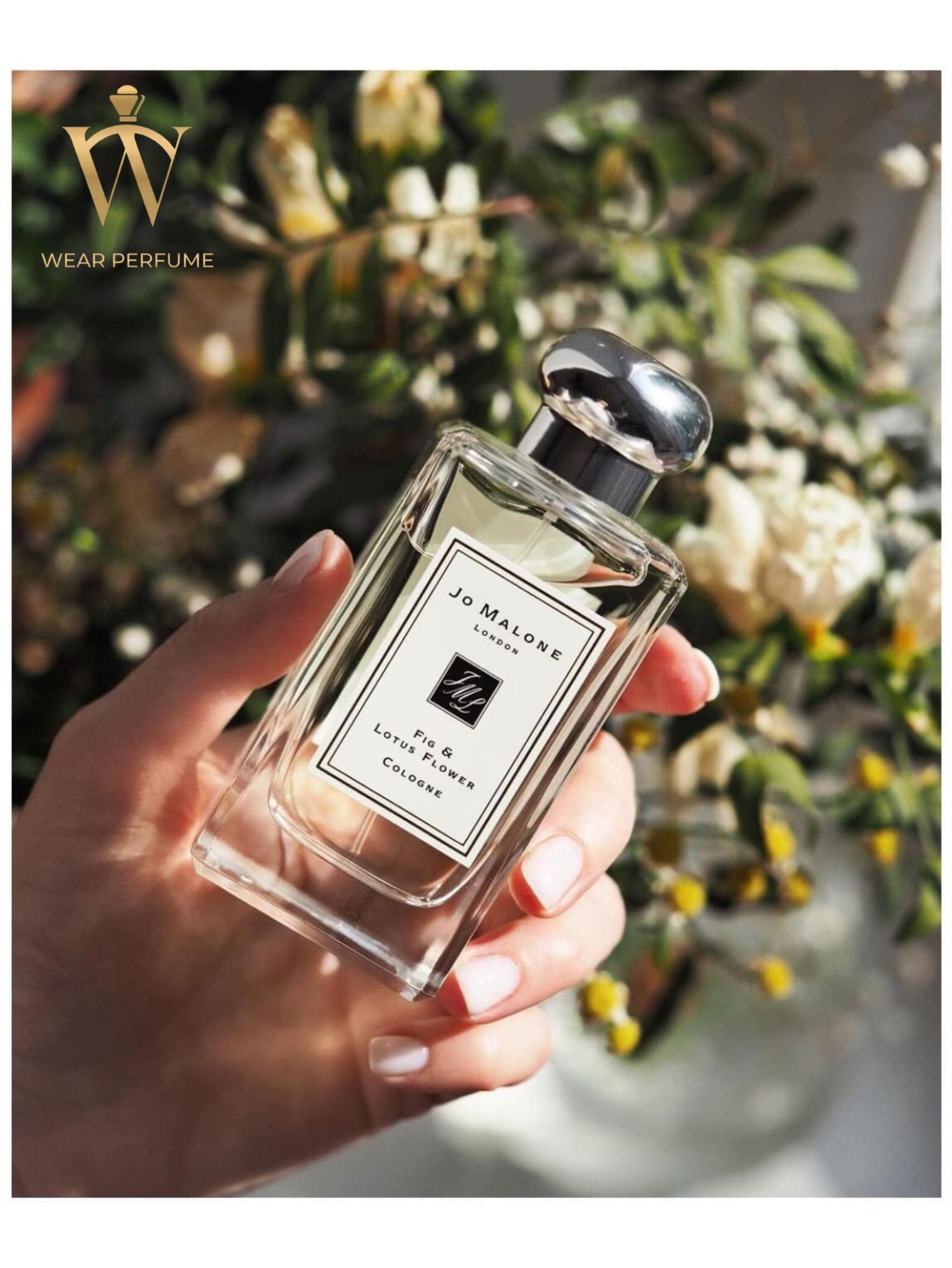 Jo Malone London Fig & Lotus Flower 