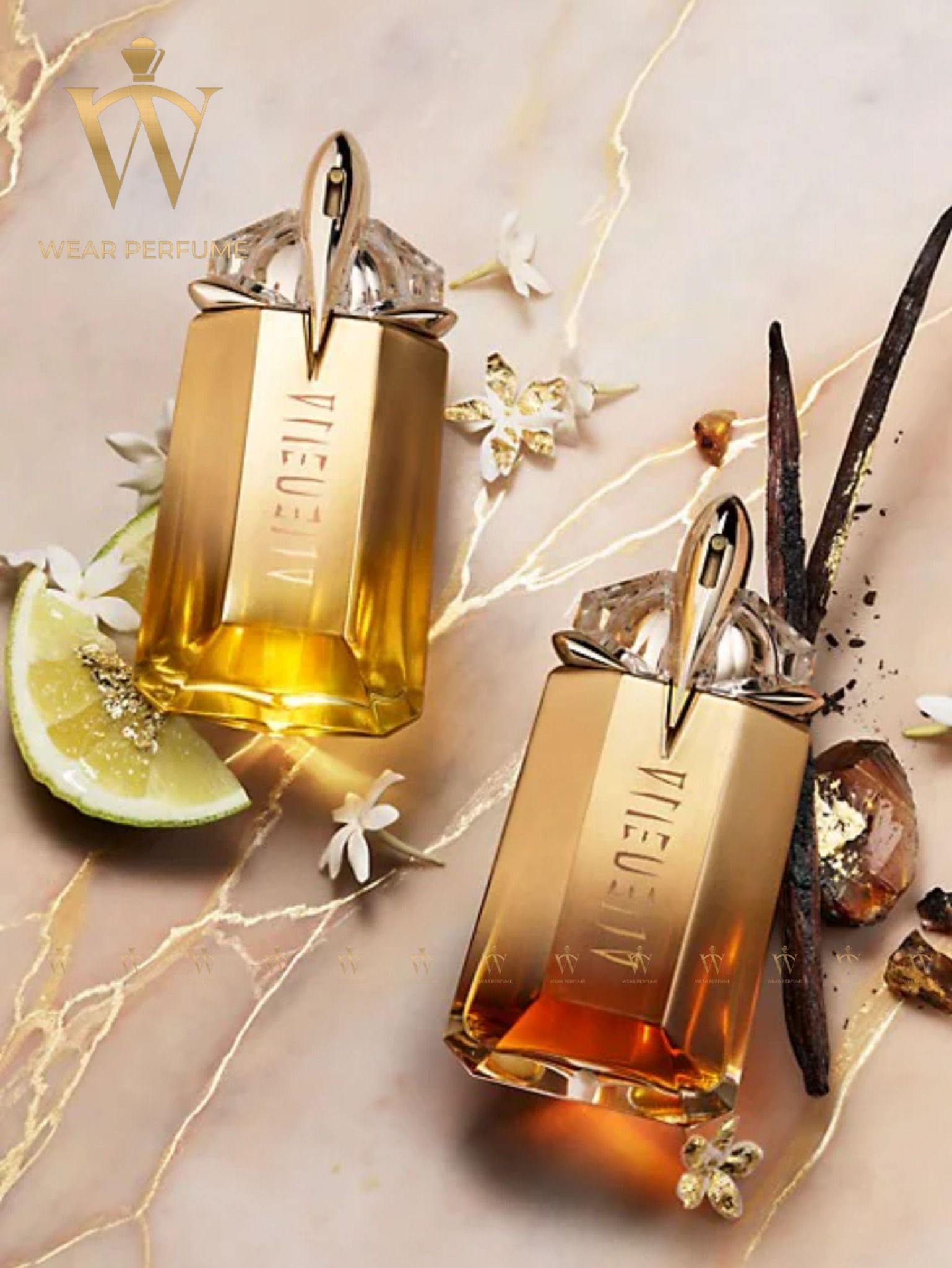  Vial Thierry Mugler Alien Goddess Intense EDP 1.2ML 