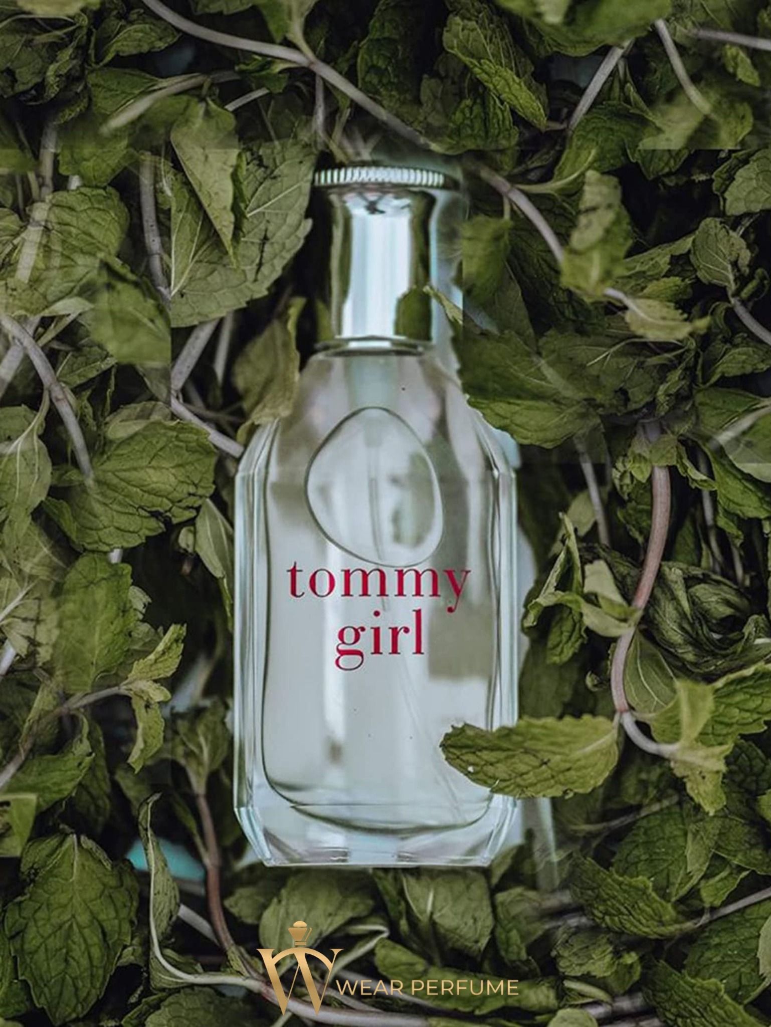  Tommy Hilfiger Tommy Girl EDT 30 ML 