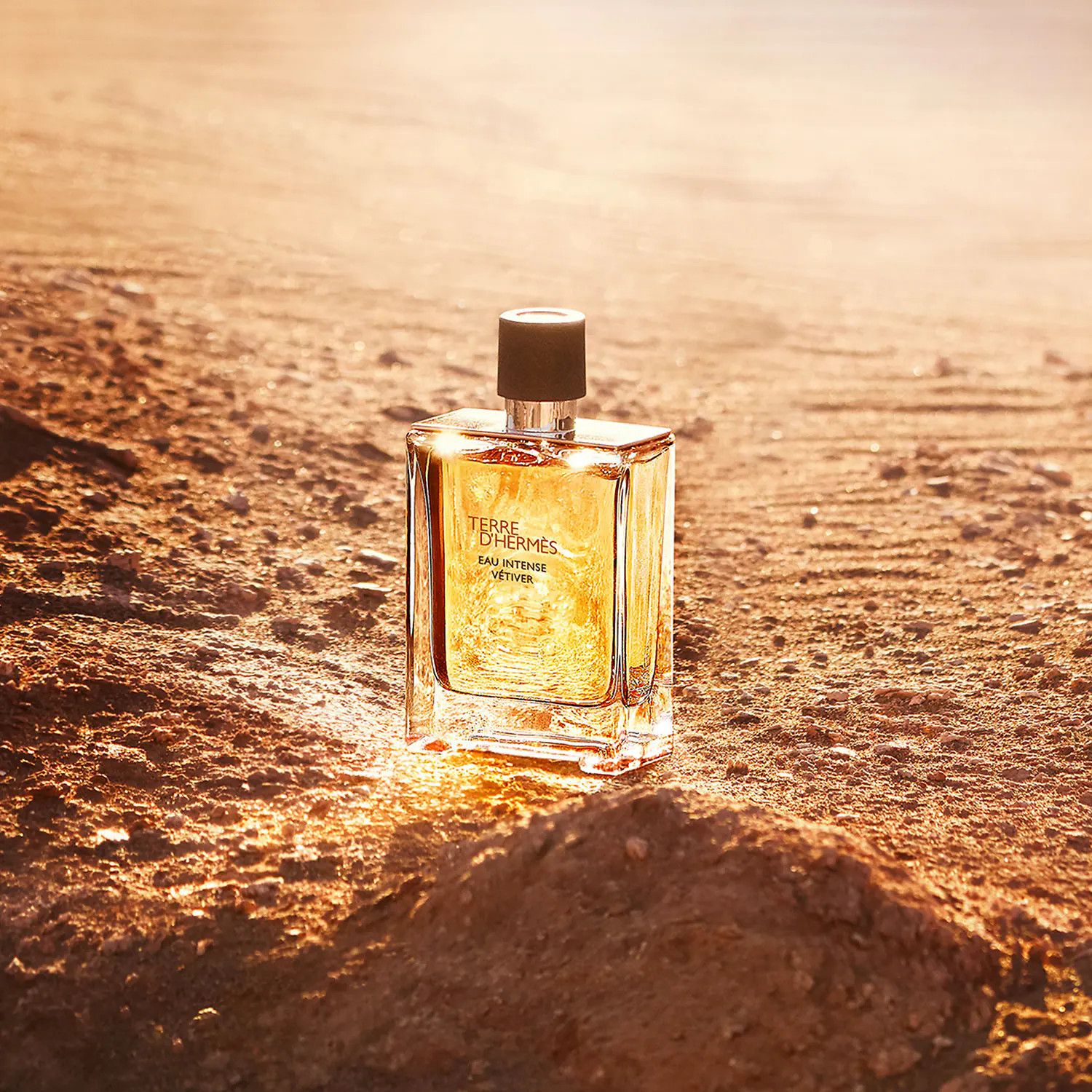  Hermes Terre D'Hermes Eau Intense Vetiver EDP 