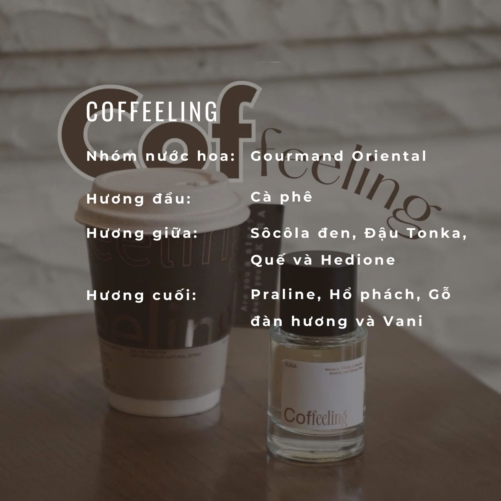  Kira Perfumes Coffeeling 