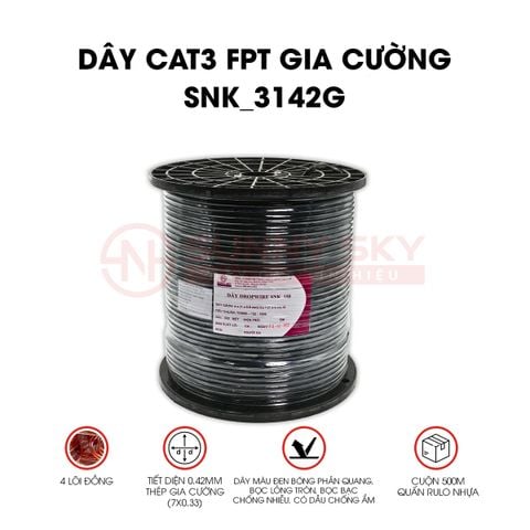  DÂY CAT3 FTP GIA CƯỜNG (SNK_3142G) 