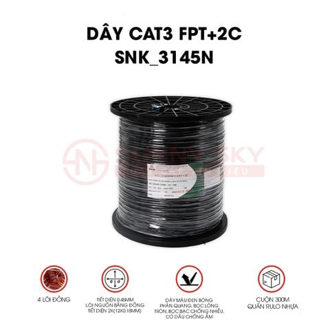  DÂY CAT3 FTP LIỀN NGUỒN (SNK_3415N) 