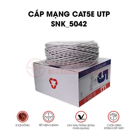  CÁP MẠNG CAT5E UTP (SNK_5042) 