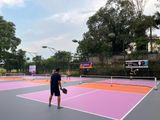 Bộ lưới HM Pickleball