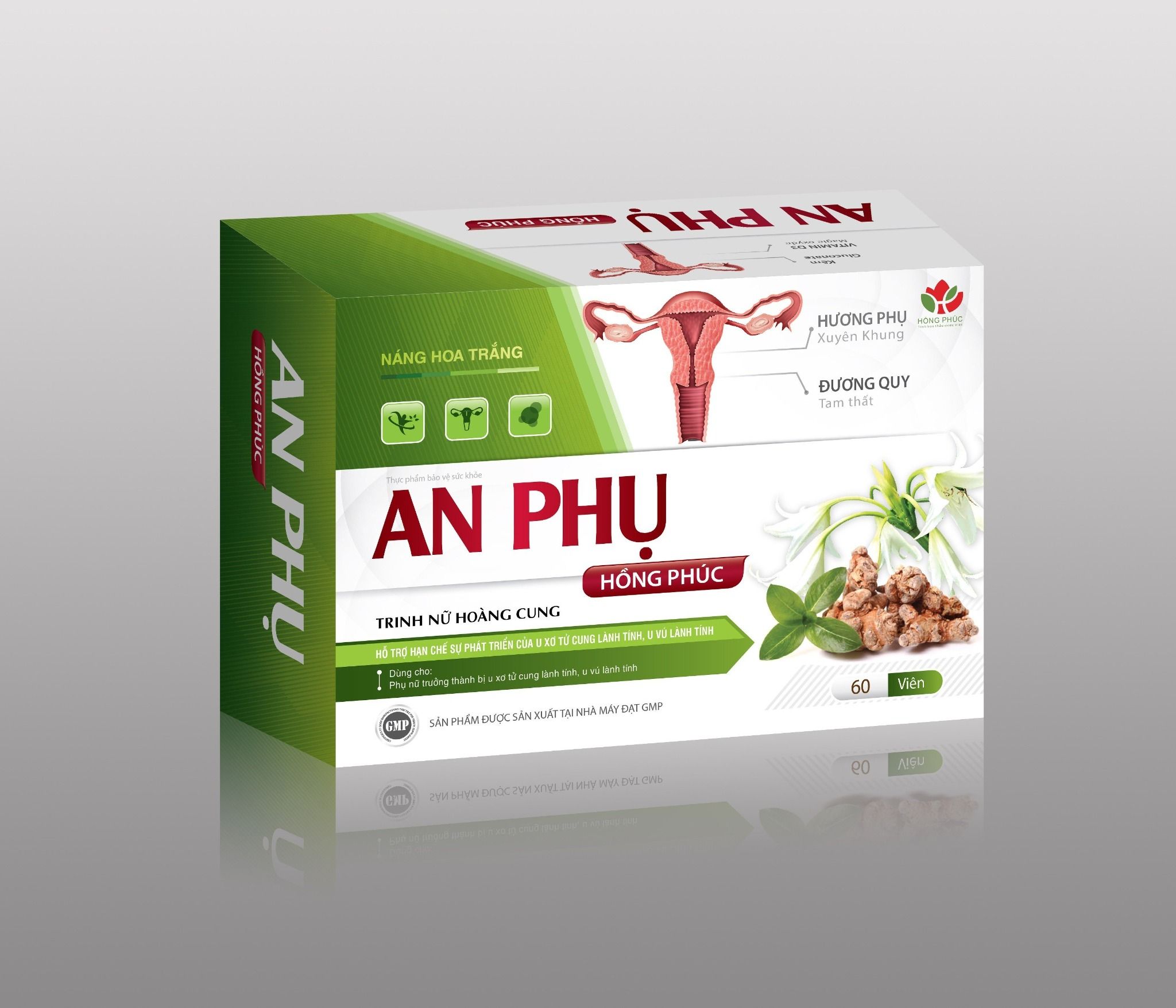 An Phụ - U Xơ , U Nang