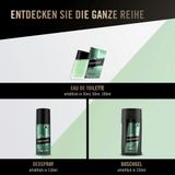  Xịt khử mùi toàn thân hương nước hoa nam Bruno Banani Cedarwood - 150ml 