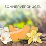  Máy khuếch tán tinh dầu Airwick - kèm lõi tinh dầu thơm dưa lưới & hoa đại 19ml 