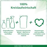  Nước xịt kính hữu cơ Frosch - 500ml 