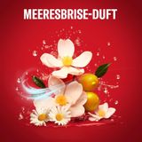  Sáp khử mùi dành cho nam Old Spice Deep Sea 50ml - Hàng nội địa Đức 