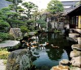  THIẾT KẾ THI CÔNG HỒ CÁ KOI 