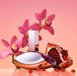  Nước hoa nữ Calvin Klein Euphoria for Women Eau De Parfum 100ml 