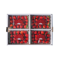 Dâu Tây Hàn Quốc (hộp 500g)