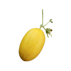 Dưa Lưới Huỳnh Long L1 (1kg)