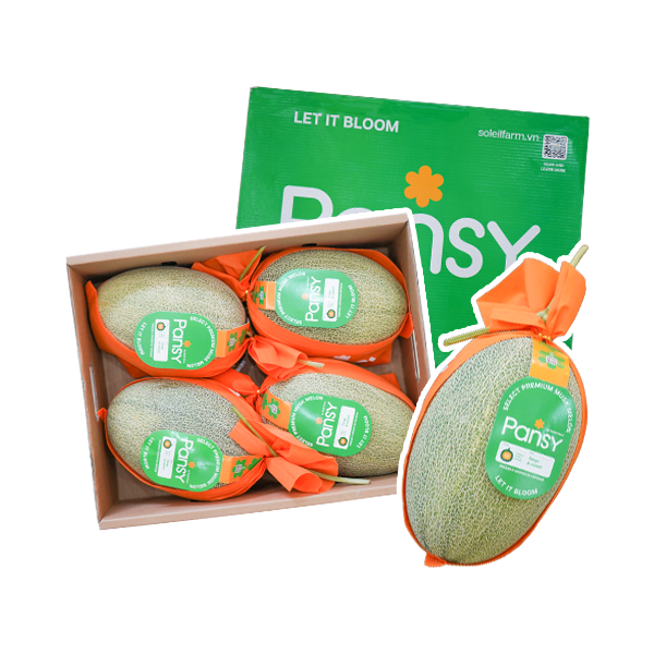 Dưa Lưới Ruột Cam Pansy Melon s2A