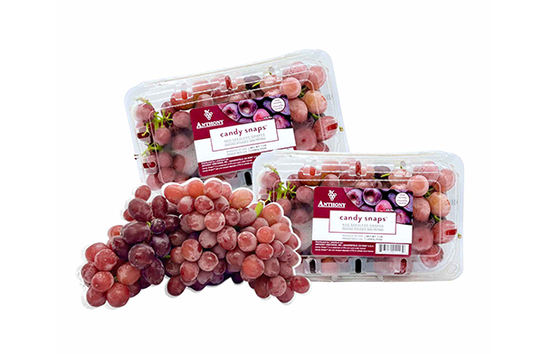 Nho Kẹo Candy Snaps Mỹ (hộp 454g)