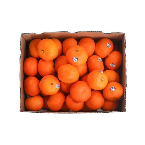 Quýt Lowseed 888 s56