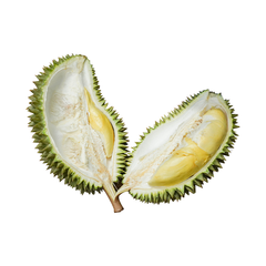 Sầu Riêng 6 Hữu (1kg)