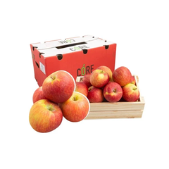 Táo Fuji Nam Phi s90 (1kg)
