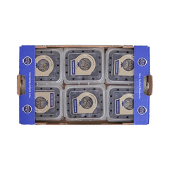 Việt Quất Blue Royal New Zealand (hộp 125g)