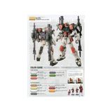  Mô Hình Lắp Ráp Gundam MG 1/100 Buster Gundam 