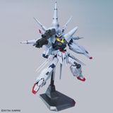  Mô Hình Lắp Ráp MG 1/100 Providence Gundam 