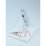  [HÀNG SẴN ] Mô Hình Lắp Ráp MG Akatsuki Full Pack Oowashi & Shiranui ( Wuji Model ) 