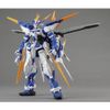  Mô Hình Lắp Ráp Gundam MG 1/100 Astray Blue Frame D 