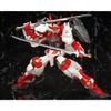  [ HÀNG SẴN ] Mô Hình Lắp Ráp HG Sengoku Astray ( kèm base + Decal nước ) 