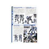  Mô Hình Lắp Ráp Gundam MG 1/100 Duel Assault Shroud GAT-X102 
