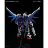  Mô Hình Lắp Ráp RG 1/144 Build Strike Full Package 