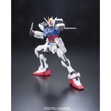  Mô Hình Lắp Ráp Gundam RG 1/144 Aile Strike 