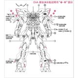  Decal Nước Huỳnh Quang Dán Mô Hình EVO MG 1/100 MSN-06S Sinanju ver Ka - OVA ver 