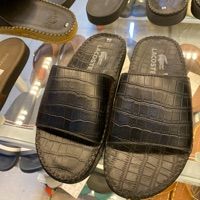  DÉP DA QUAI NGANG LACOSTE 