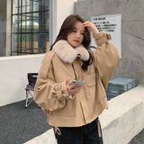  ÁO DA LÓT LÔNG + DA LỘN 