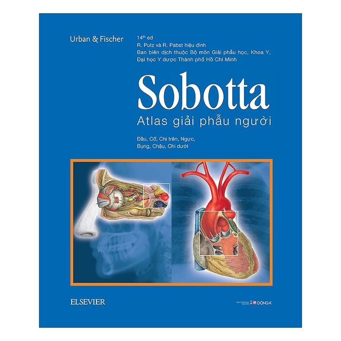 Sobotta Atlas Giải Phẫu Người (Phiên Bản Thứ 14) 