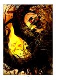  Robin Hood - Hiệp sĩ rừng xanh (Kim Đồng) 
