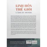  Linh hồn thế giới 