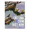  Các loài chim Việt Nam 