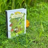  Chuyện Ở Rừng Vi Vu (song ngữ Việt - Anh) - Chuyện đồng thoại 