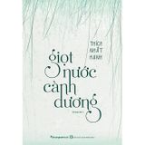  Giọt Nước Cành Dương 