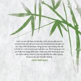  Nói với tuổi hai mươi 