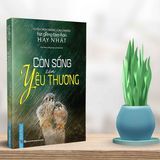  Còn sống còn yêu thương 