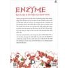  Nhân Tố Enzyme - Minh Họa 