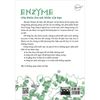  Nhân Tố Enzyme - Phương Thức Sống Lành Mạnh 