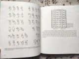  Lịch Sử Hình Thành Và Phát Triển Ngôn Ngữ 