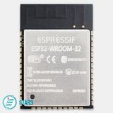 ESP 32 Wrom